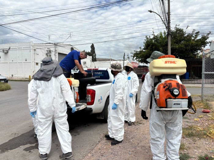 Lleva Gobierno Municipal programa “Megapatio de mi Casa” a Punta Oriente