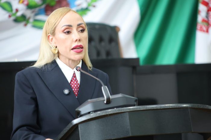 Brenda Ríos propone el uso de energías renovables en edificios de gobierno