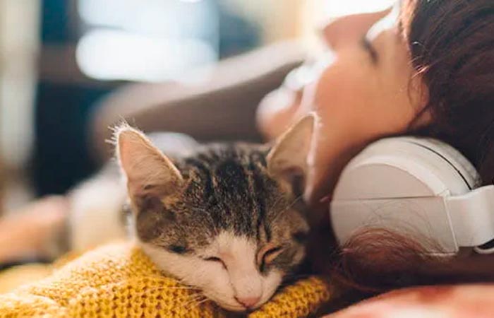 El poder antiestrés de las mascotas